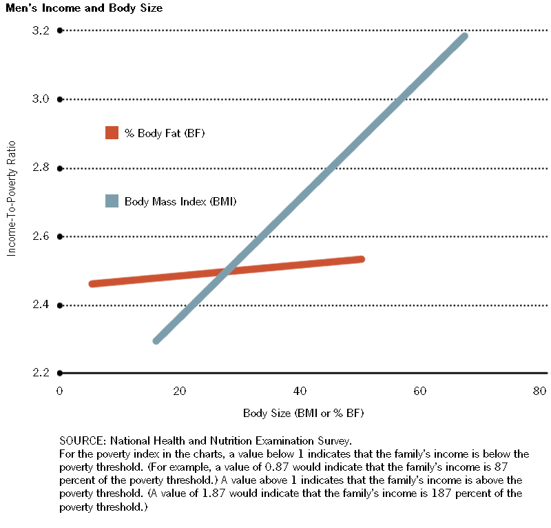 Essay poverty and obesity